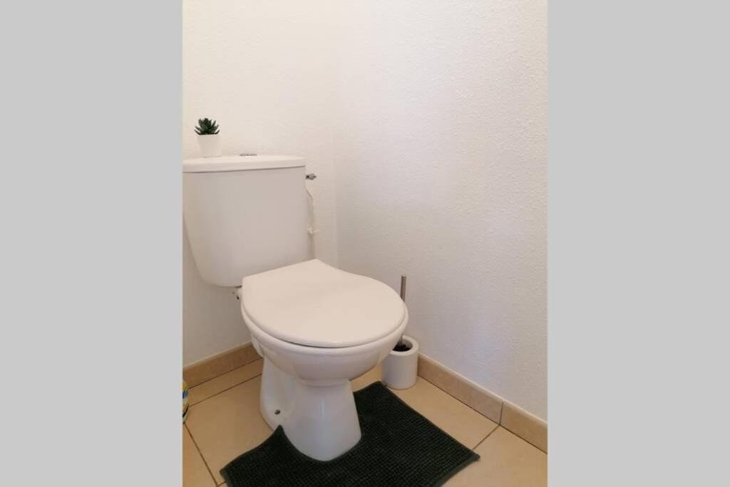 T2 Entier - Hyper Centre - Cosy Home Grenade-sur-Garonne Exterior photo